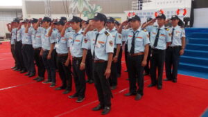 Bảo vệ sự kiện, Công ty bảo vệ, Bảo vệ cố định